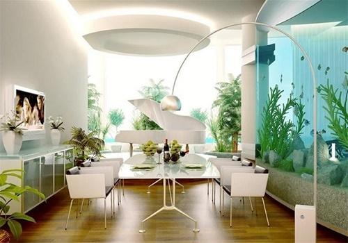 Bày bể cá ở huyền quan thế nào mới thúc giục tài lộc? | Tử Vi Cổ Học