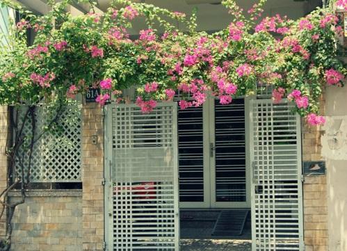 Hóa giải phong thủy nhà bị đường đâm vào như thế nào mới hiệu quả? | Tử Vi Cổ Học