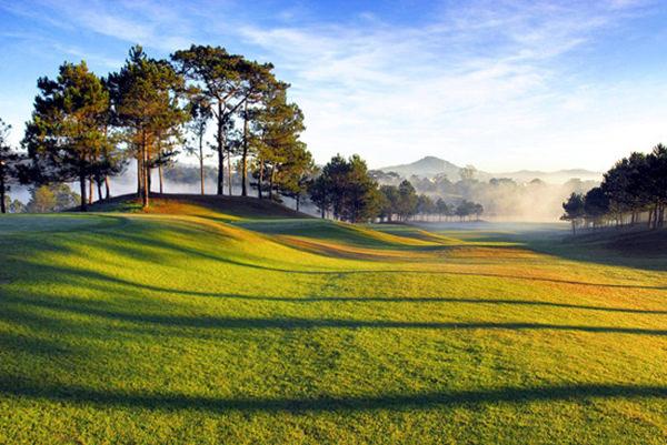 10 lưu ý khi chọn đất để đặt huyệt mộ | Tử Vi Cổ Học