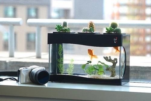 Muốn vạn việc gặp may, tài lộc trĩu tay, đặt ngay những vật phẩm này trên bàn làm việc | Tử Vi Cổ Học
