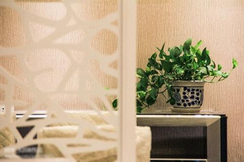 Gợi ý bày đúng loại cây để tăng cường phong thủy huyền quan | Tử Vi Cổ Học