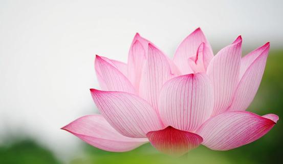 Màu sắc theo Ngũ hành trong phong thủy | Tử Vi Cổ Học