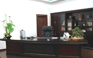 Hóa giải sát khí trong văn phòng và những điều cần lưu ý | Tử Vi Cổ Học