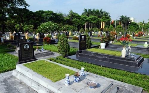 Những lưu ý phong thủy âm trạch khi trồng cây tại mộ | Tử Vi Cổ Học