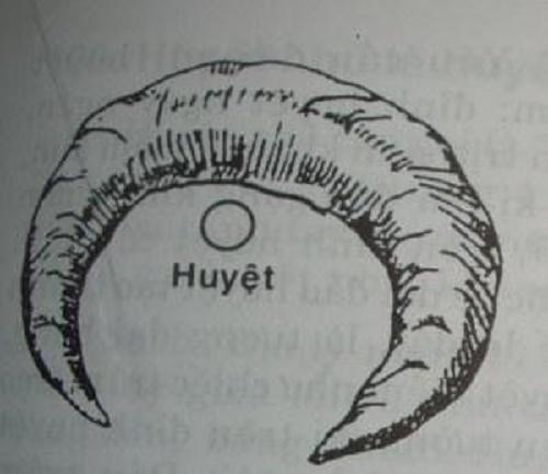 Táng huyệt oa – đại cát đại lợi | Tử Vi Cổ Học