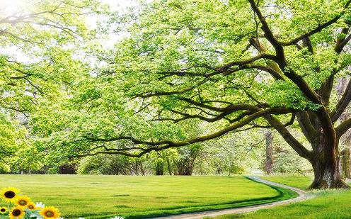 7 mẹo phong thủy tài lộc cho gia chủ tiền bạc dồi dào, muốn nghèo cũng khó | Tử Vi Cổ Học