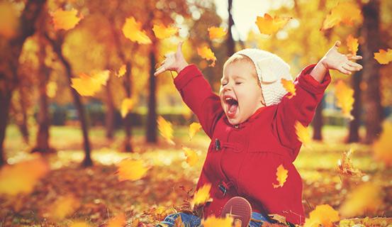 Con mang tên của mùa thu | Tử Vi Cổ Học