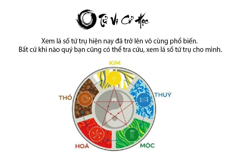 Xem lá số tứ trụ và bình giải chi tiết  - Tử Vi Cổ Học