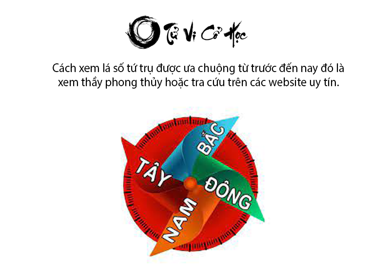 Xem lá số tứ trụ và bình giải chi tiết  - Tử Vi Cổ Học