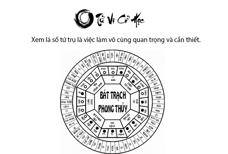 Xem lá số tứ trụ và bình giải chi tiết  - Tử Vi Cổ Học