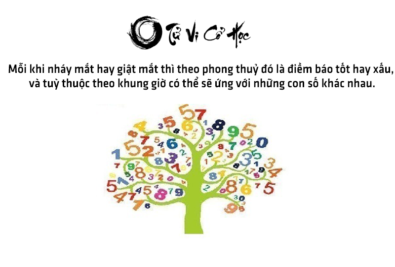Giải mã hiện tượng giật mắt ở nam và nữ