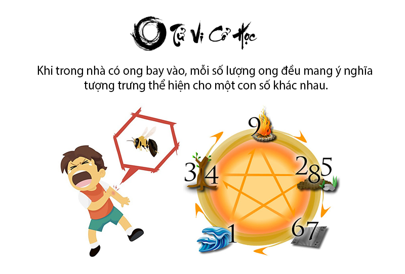 Ong bay vào nhà là điềm tốt hay xấu và ứng với con số nào