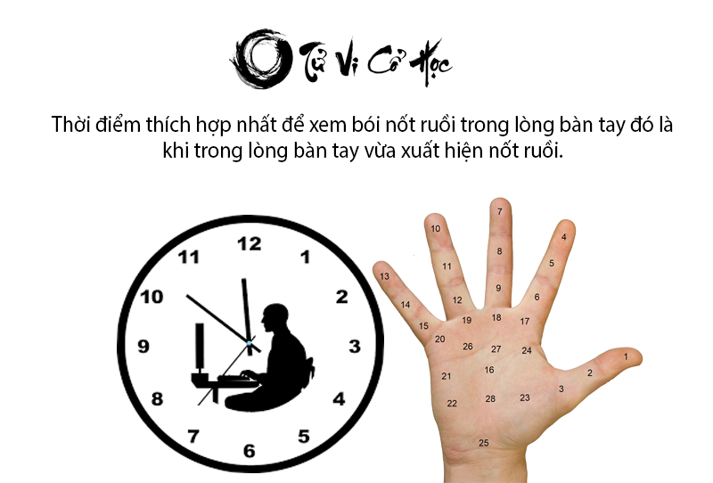 Xem bói nốt ruồi trong lòng bàn tay chính xác nhất