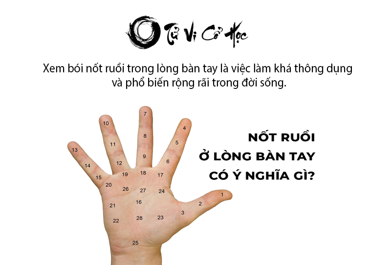 Xem bói nốt ruồi trong lòng bàn tay chính xác nhất