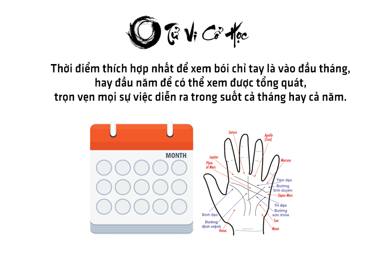 Bói chỉ tay xem bói chỉ tay bàn tay - Tử Vi Cổ Học