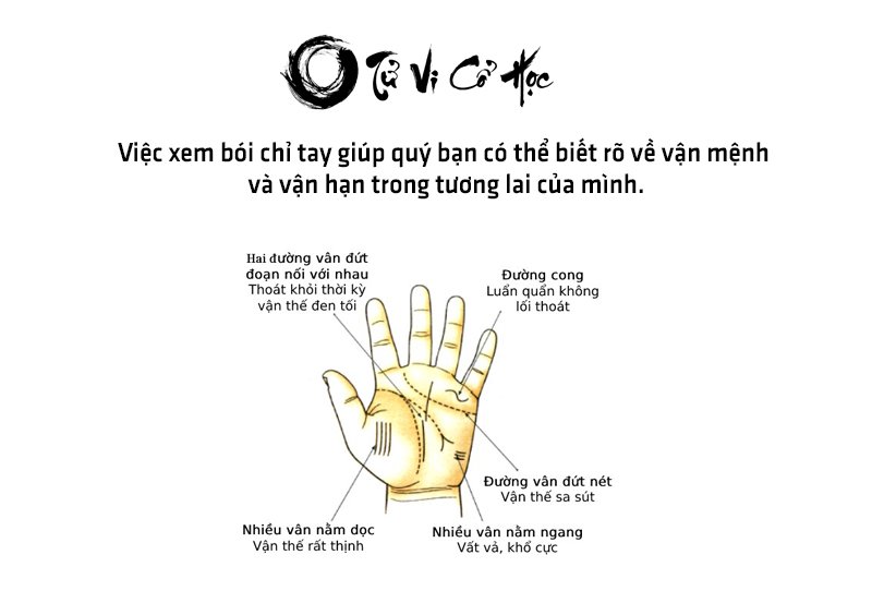 Bói chỉ tay xem bói chỉ tay bàn tay - Tử Vi Cổ Học