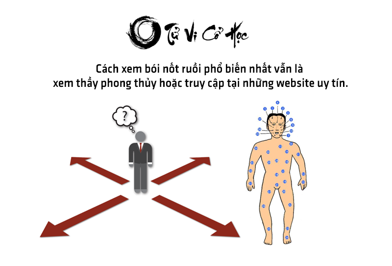 Xem bói nốt ruồi chính xác nhất năm 2022 - Tử Vi Cổ Học