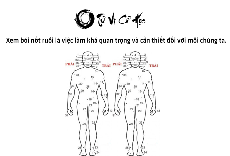 Xem bói nốt ruồi chính xác nhất năm 2022 - Tử Vi Cổ Học