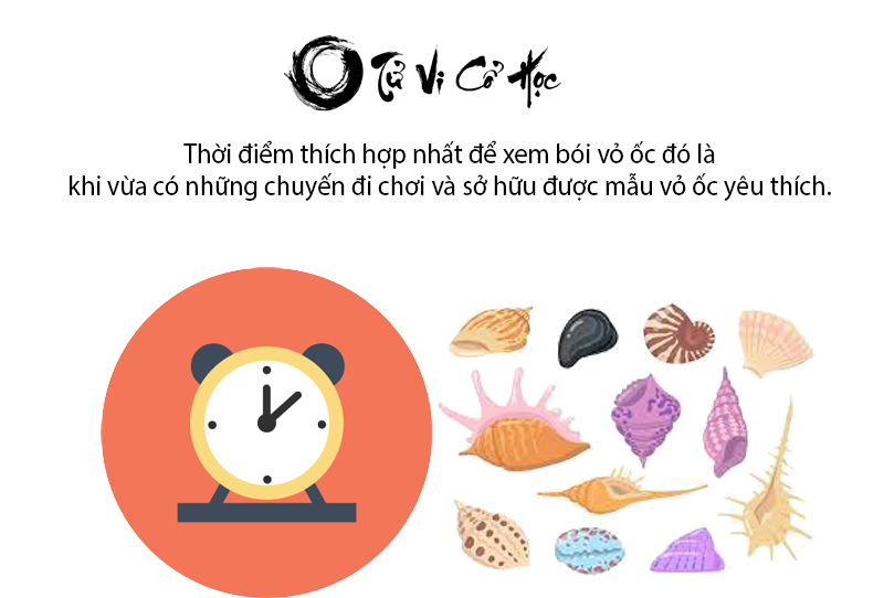 Xem bói vỏ ốc đoán tính cách chính xác - Tử Vi Cổ Học