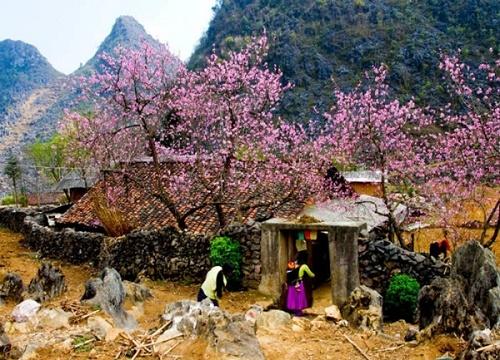 Tết Thanh Minh năm 2017 là ngày nào? | Tử Vi Cổ Học