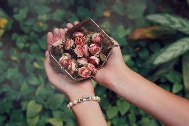 Cái gì của bạn cuối cùng sẽ thuộc về bạn, vậy nên không cần quá cưỡng cầu | Tử Vi Cổ Học