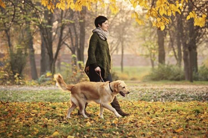 Trời không tuyệt đường người, 11 bí quyết giúp bạn vượt qua khó khăn thất bại | Tử Vi Cổ Học