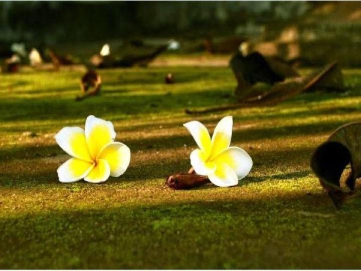 Cái gì của bạn cuối cùng sẽ thuộc về bạn, vậy nên không cần quá cưỡng cầu | Tử Vi Cổ Học