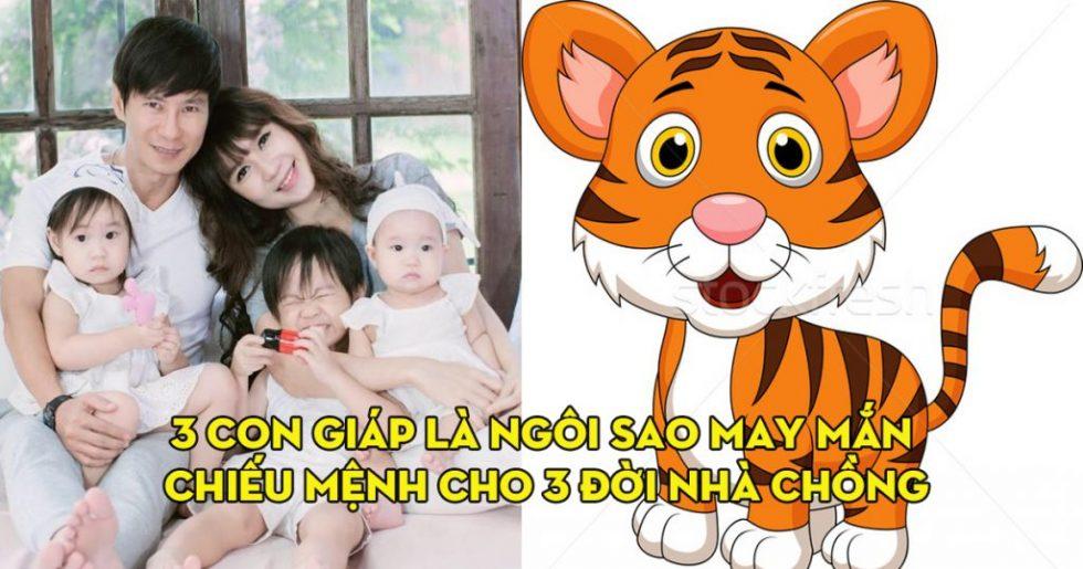 Trong số 12 con giáp, thì 3 con giáp này là ngôi sao may mắn chiếu mệnh cho 3 đời nhà chồng | Tử Vi Cổ Học