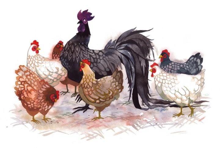 Đầu tháng 5: 3 con giáp được sao Thần Vương chiếu mệnh cuộc sống sung túc dư dả | Tử Vi Cổ Học