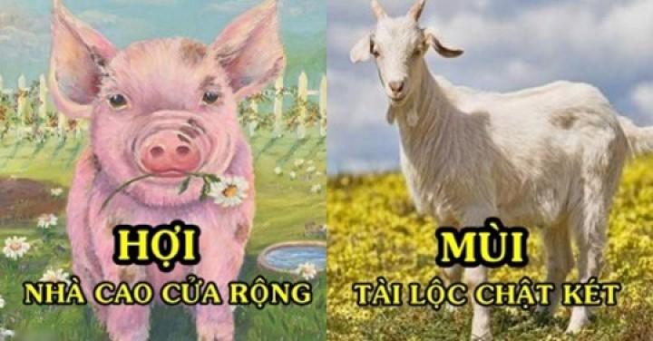 Con giáp trời định giàu có, 5 năm tới vét sạch túi Thần Tài : Hợi nhà lầu xe hơi – Mùi tiền chật két | Tử Vi Cổ Học