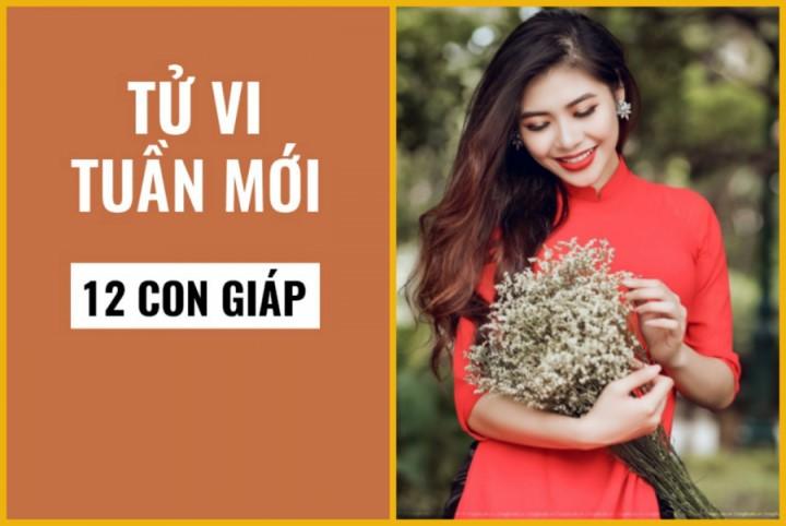 Tử vi tuần mới (từ 16/9 đến 22/9/2019) của 12 con giáp: Hợi có điềm báo hoạ thị phi, Ngọ gặp được vận may | Tử Vi Cổ Học