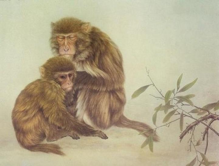 Cuối tháng 5 Canh Tý: 3 con giáp ngồi không cũng kiếm ra tiền, thoải mái làm những gì mình thích | Tử Vi Cổ Học