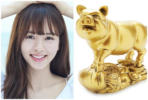 Vận mệnh người tuổi Hợi năm 2018 | Tử Vi Cổ Học