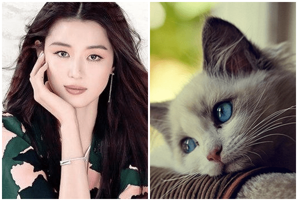 Vận mệnh của người tuổi Mão năm 2018 | Tử Vi Cổ Học