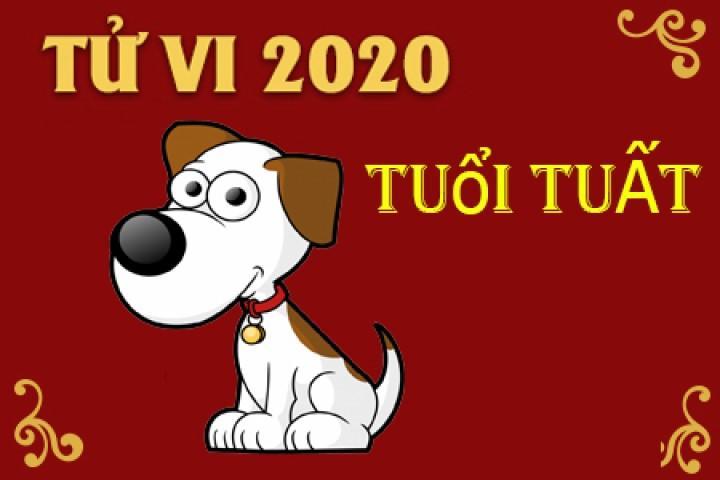 Tử vi tuổi Tuất năm 2020: Cơ hội khó nắm, kiên trì ắt thành | Tử Vi Cổ Học
