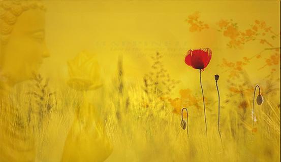 Tử vi trọn đời 2014 Canh Dần (nam) | Tử Vi Cổ Học