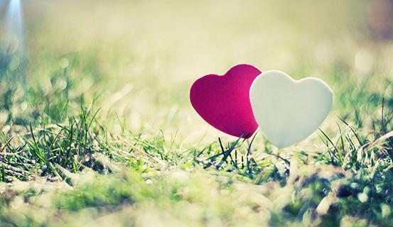 Tử vi trọn đời 2014 Tân Sửu (nam) | Tử Vi Cổ Học