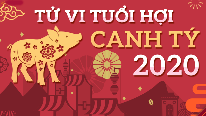 Tử vi 2020 tuổi Đinh Hợi nam mạng | Tử Vi Cổ Học