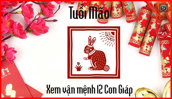 Vận trình tử vi trọn đời Ất Mão nam mang chi tiết | Tử Vi Cổ Học