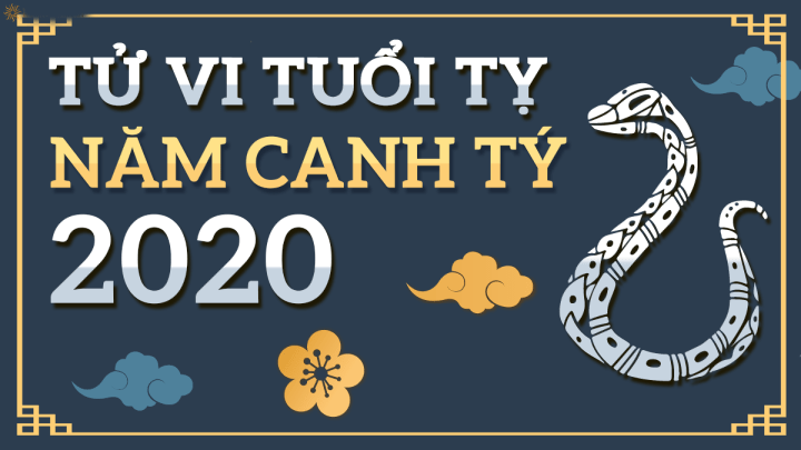 Tử vi 2020 tuổi Đinh Tỵ nam mạng | Tử Vi Cổ Học