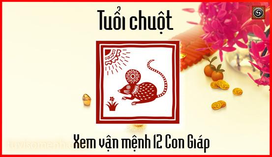 Vận trình tử vi trọn đời Giáp Tý nam mang chi tiết | Tử Vi Cổ Học