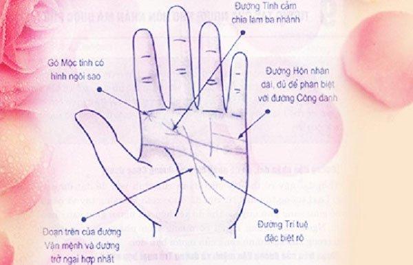 Xem tướng tay nhận diện người được hưởng phú quý sau khi kết hôn | Tử Vi Cổ Học