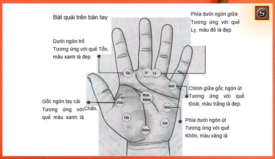 Ý nghĩa các cung bát quái trên bàn tay bạn | Tử Vi Cổ Học