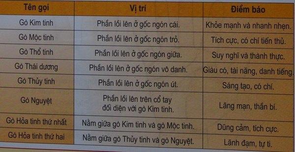 Kiến thức cơ bản trong thuật xem bói tướng tay | Tử Vi Cổ Học