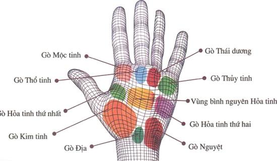 Tướng tay giúp bạn lựa chọn đúng nghành nghề | Tử Vi Cổ Học