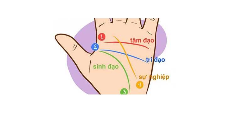 Xem bói chỉ tay đường công danh sự nghiệp của bạn. | Tử Vi Cổ Học