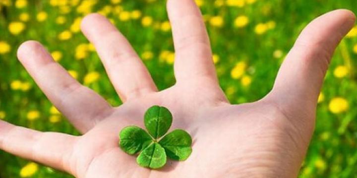 Xem chỉ tay đường con cái để biết bạn sinh con trai hay con gái | Tử Vi Cổ Học