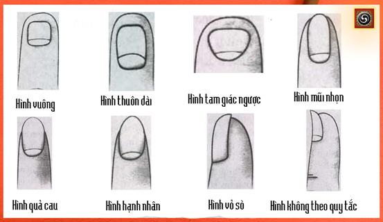 Xem bói, cổng trời thu nhỏ trên móng tay | Tử Vi Cổ Học