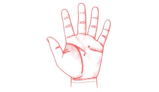 Xem bói tình yêu và tính cách qua tướng tay nam giới | Tử Vi Cổ Học