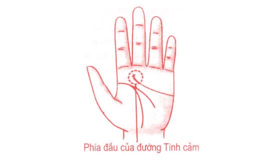 Xem bói tình yêu và tính cách qua tướng tay nam giới | Tử Vi Cổ Học